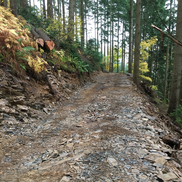 Forestry Roads in North Wales