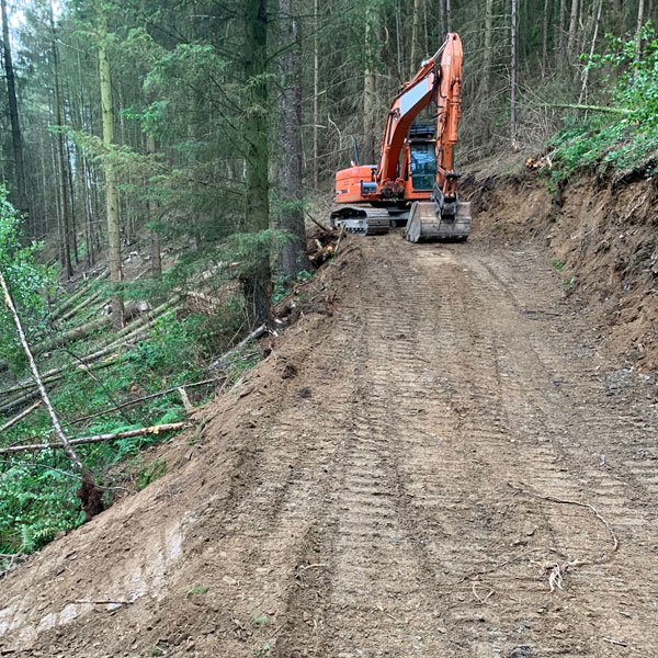 Forestry Roads in North Wales