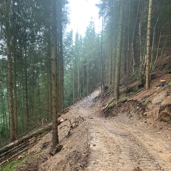 Forestry Roads in North Wales