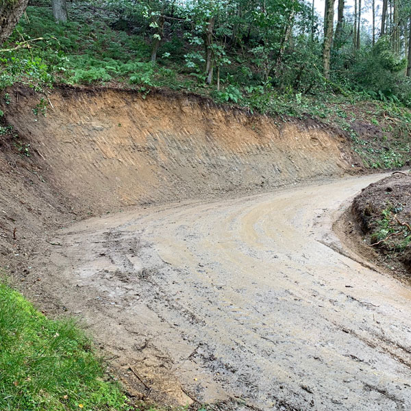 Forestry Roads in North Wales